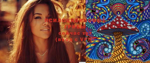 ПСИЛОЦИБИНОВЫЕ ГРИБЫ Бронницы