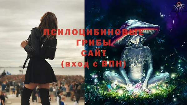 ПСИЛОЦИБИНОВЫЕ ГРИБЫ Бронницы