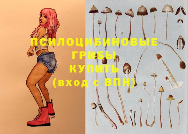 соль ск Бугульма